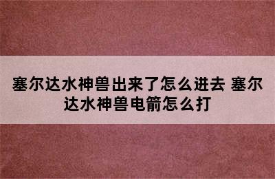 塞尔达水神兽出来了怎么进去 塞尔达水神兽电箭怎么打